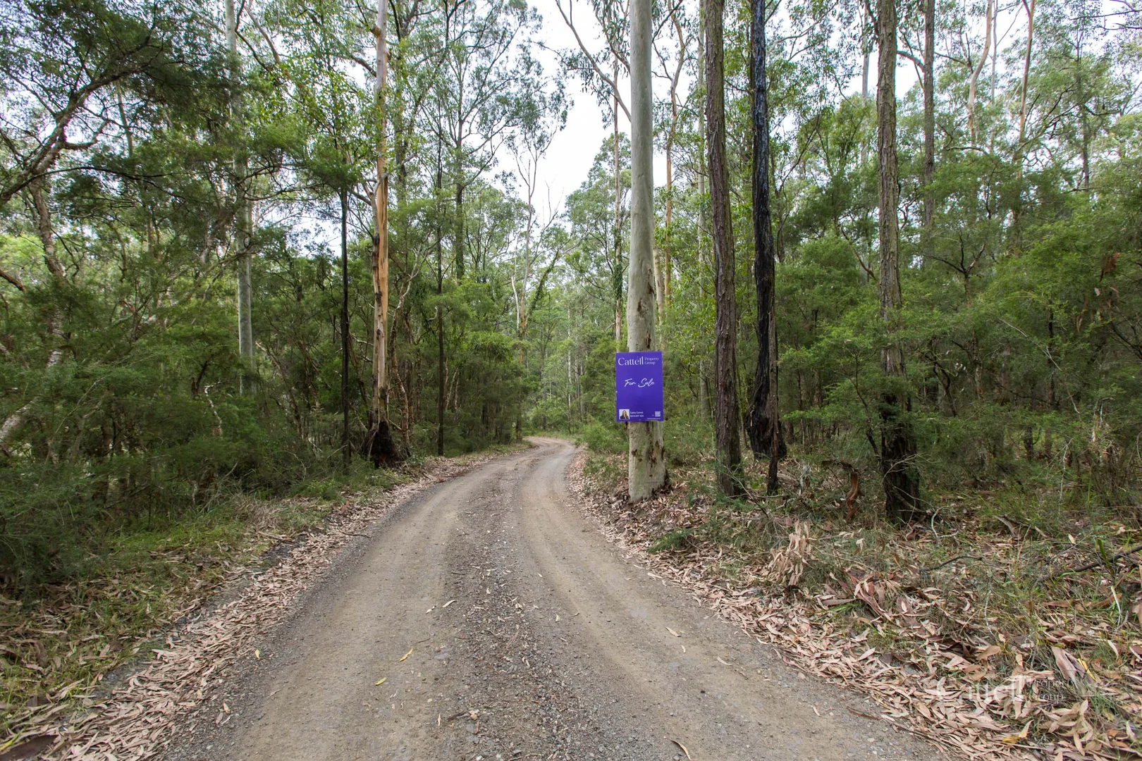 Additional image 4 of Lot 41 Bakers Lane, Sawyers Gully NSW 2326