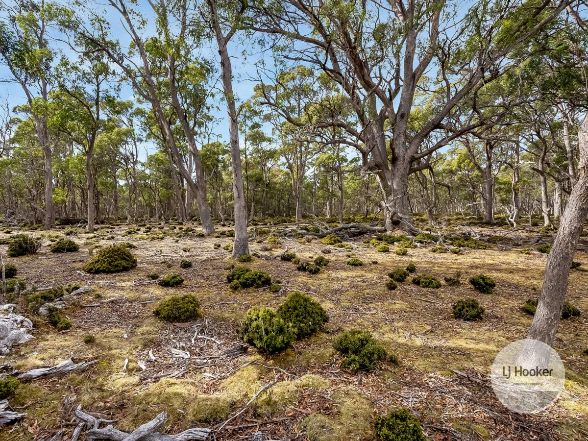 Additional image 9 of 1 Glovers Road, Bothwell TAS 7030