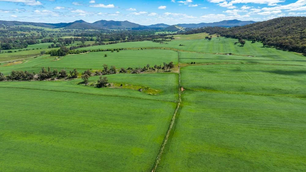 Additional image 13 of 1279 Edi-Cheshunt Road, Whitfield VIC 3733