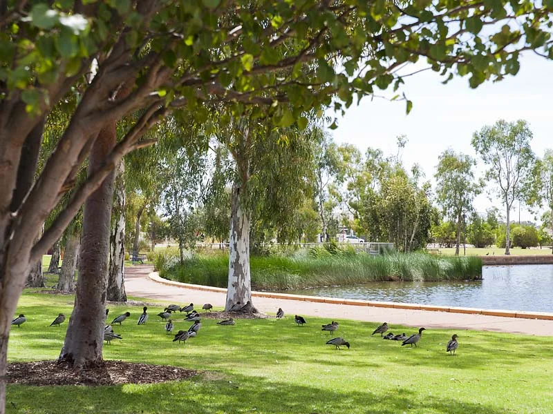 Additional image 34 of 3 Ficifolia Brace, Baldivis WA 6171