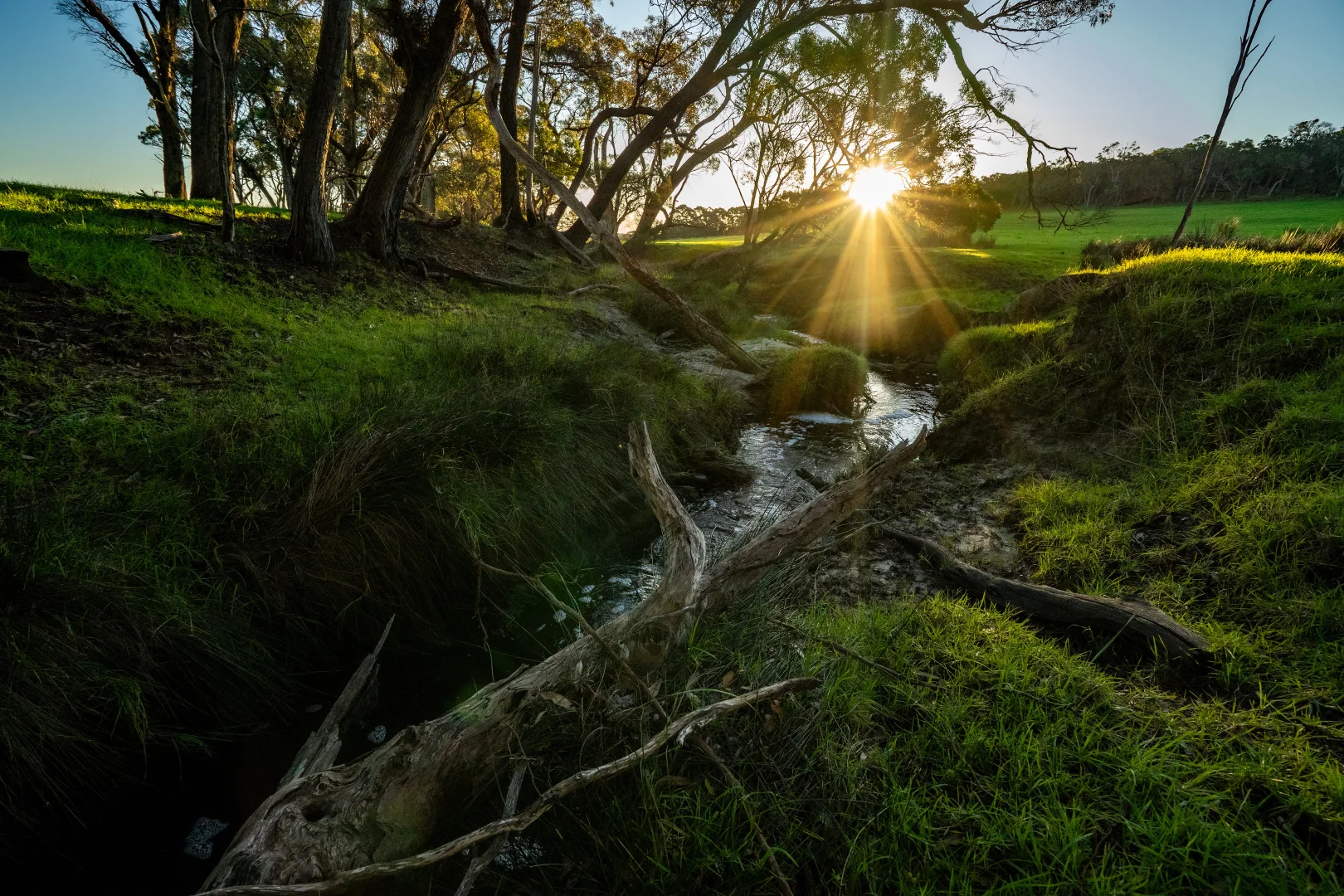 Additional image 22 of 461 Nanarup Road, Kalgan WA 6330