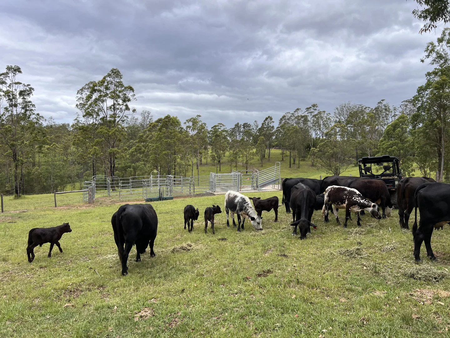 Additional image 34 of 6892 Gwydir Highway, Cangai NSW 2460
