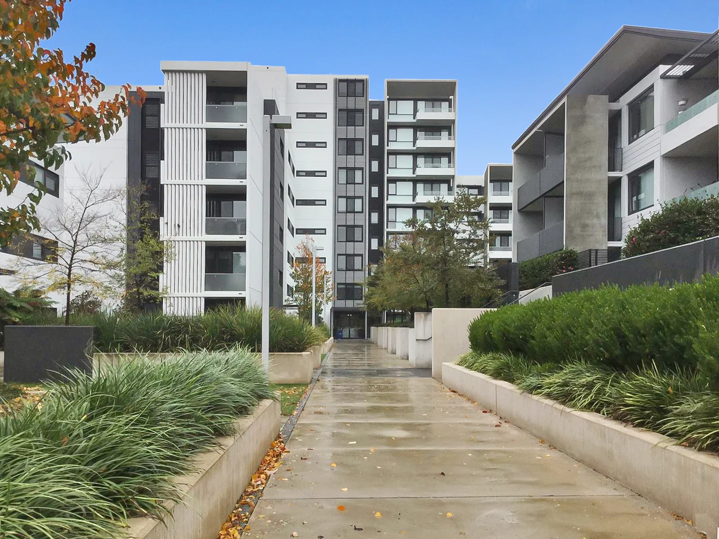 Additional image 2 of Lyons ACT 2606