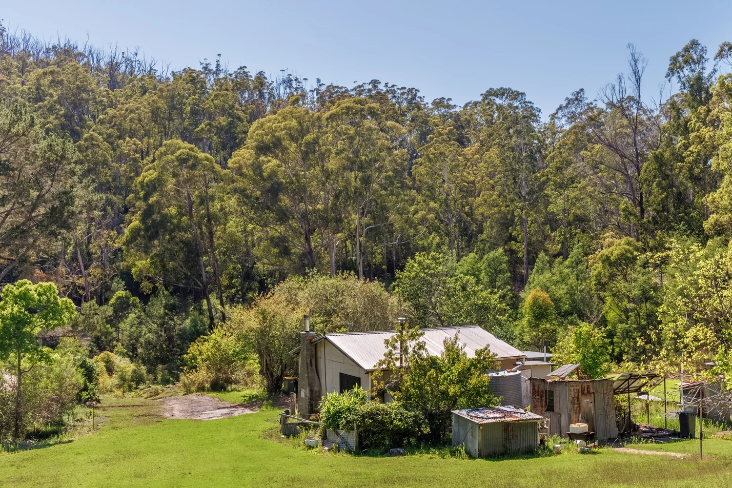 Additional image 9 of 463 Towamba Rd, NULLICA Via, Eden NSW 2551