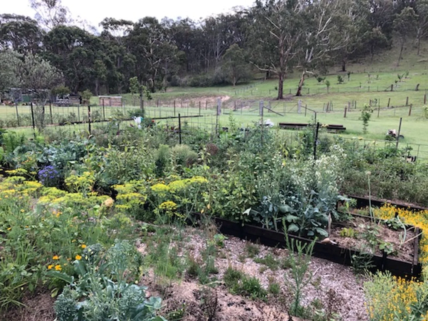 Additional image 36 of 22 Bluff River Road, Tenterfield NSW 2372