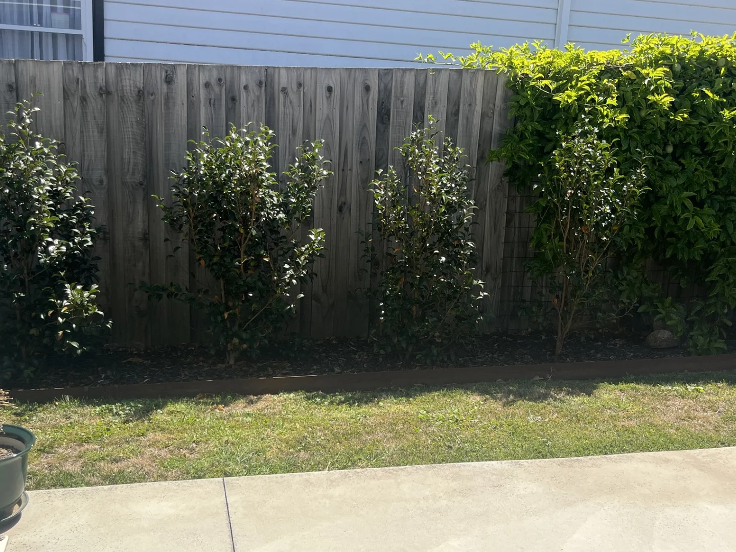 Additional image 20 of 20 Lyons Street, Rosedale VIC 3847