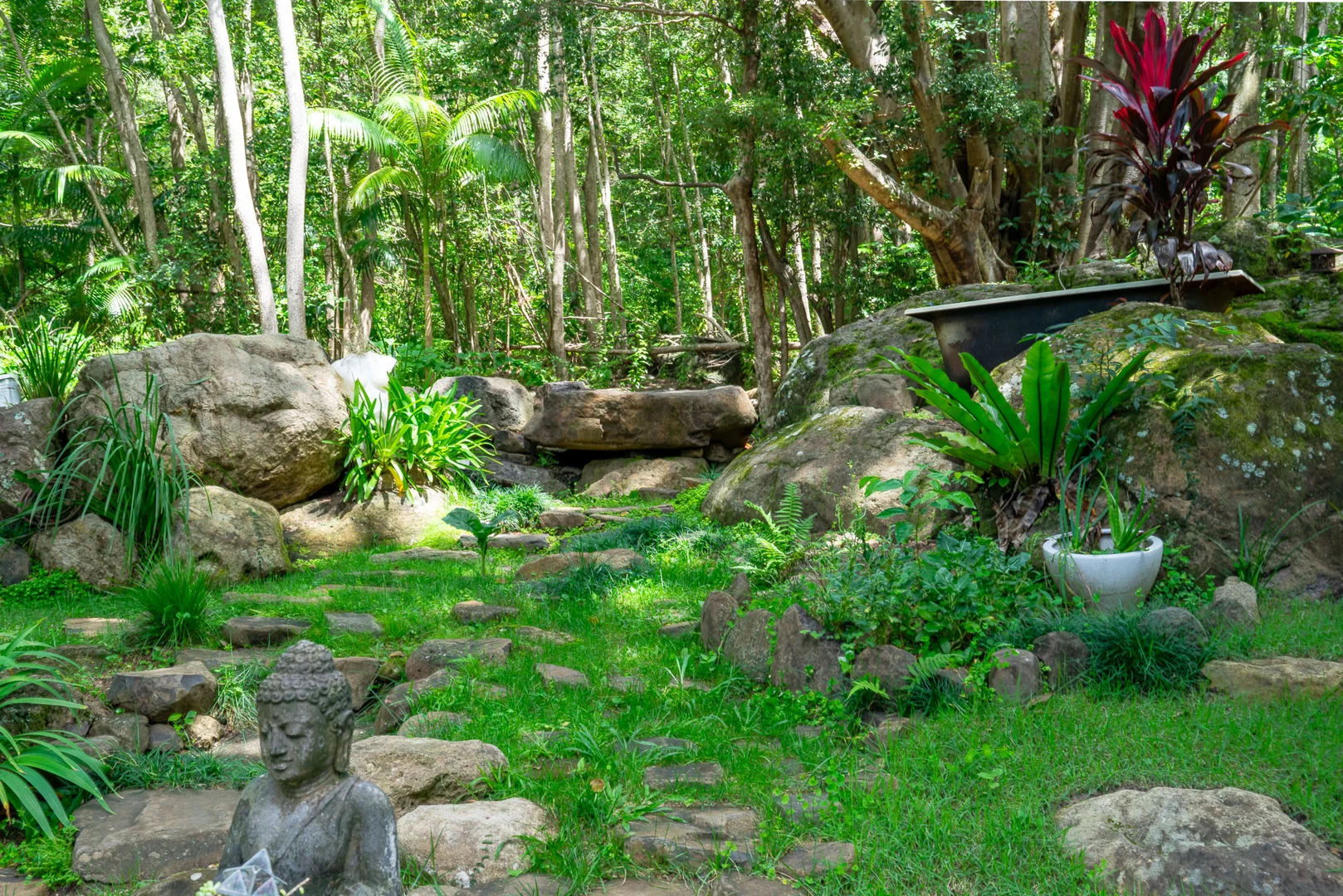 Additional image 26 of 771 Left Bank Road, Mullumbimby Creek NSW 2482