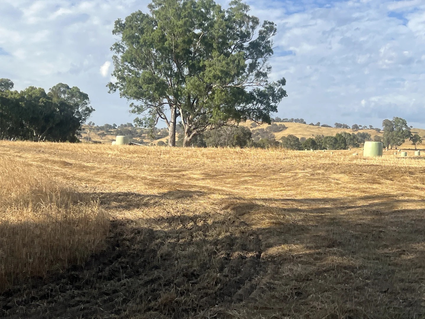 Additional image 4 of Lot 27 Sandy Creek Road, Sandy Creek VIC 3695