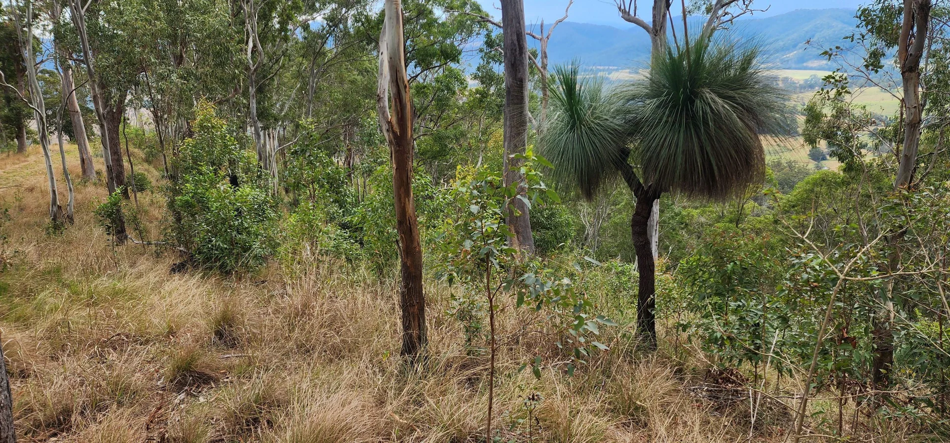 Additional image 15 of 5985 Oxley Highway, Ellenborough NSW 2446