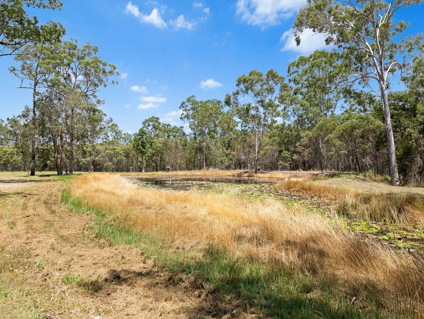 Additional image 31 of 200 Parke Avenue, Sunshine Acres QLD 4655