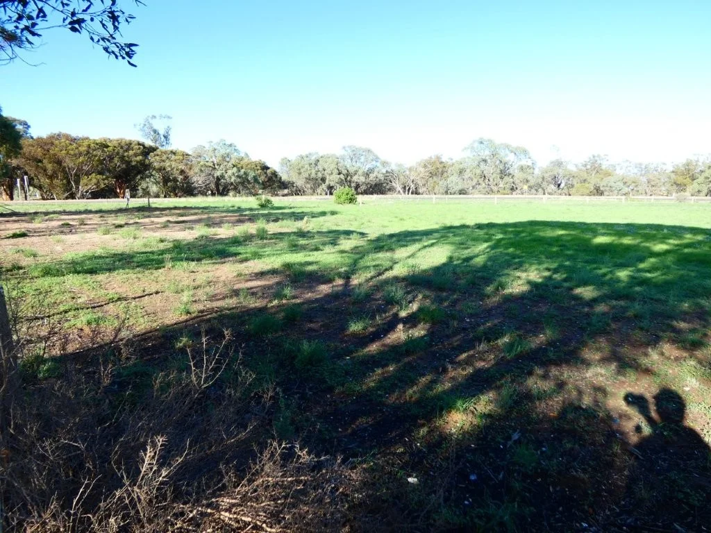 Additional image 3 of 45 Bell Street, Beulah VIC 3395