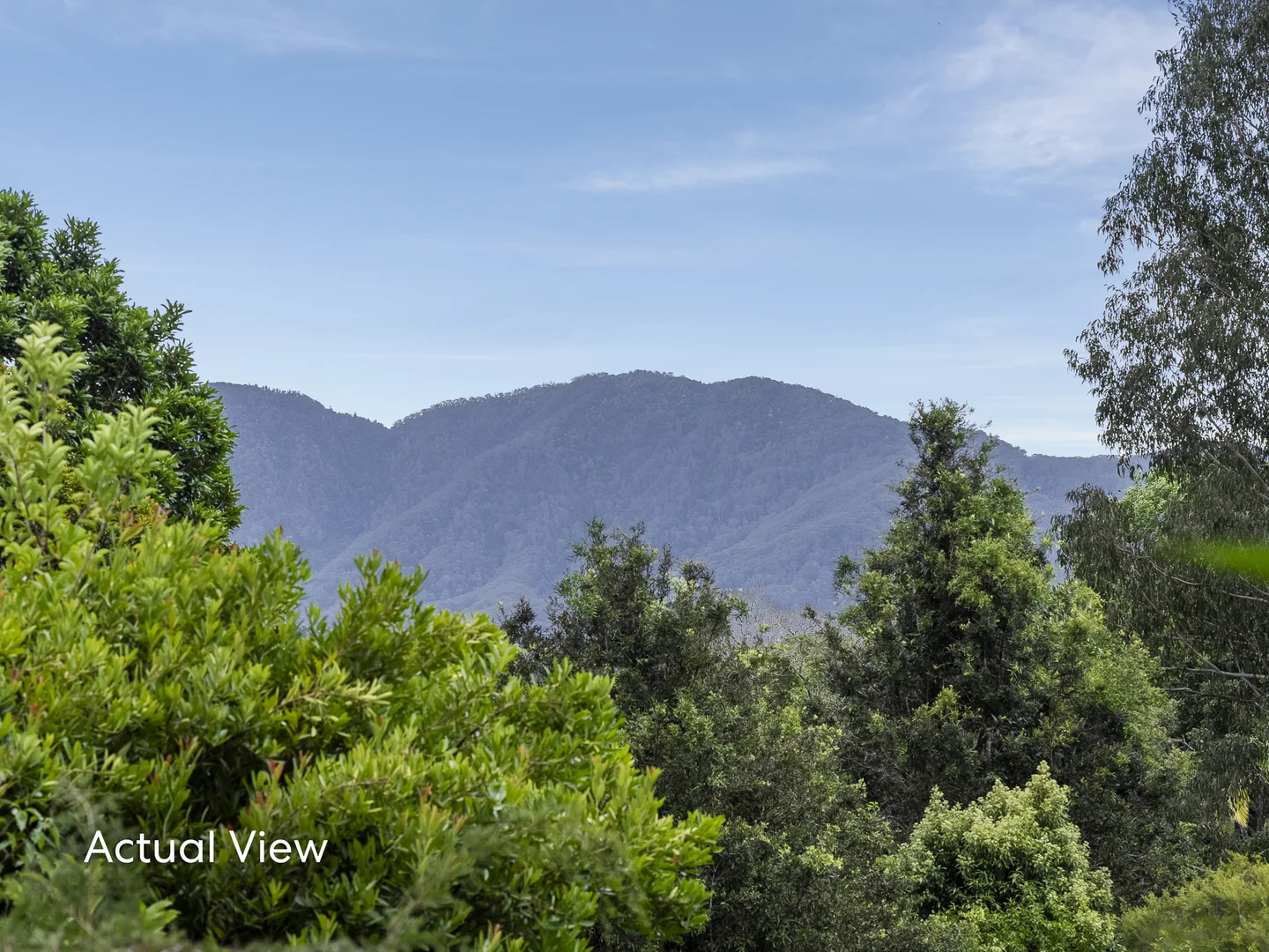 Additional image 20 of 16 Tibouchina Close, Bellingen NSW 2454