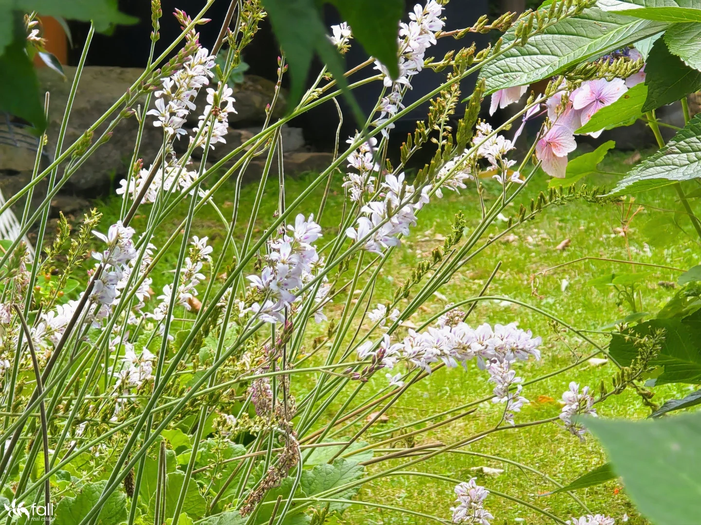 Additional image 26 of 24 Ewing Avenue, Kingston Beach TAS 7050