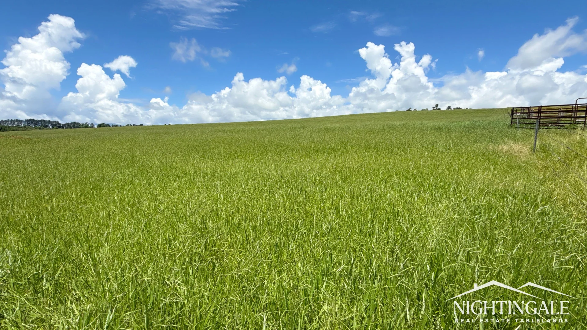 Additional image 4 of 156 Glen Allyn Road, Malanda QLD 4885