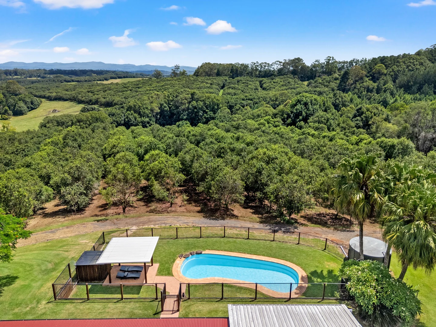 Additional image 8 of 475 Pearces Creek Road, Alstonvale NSW 2477