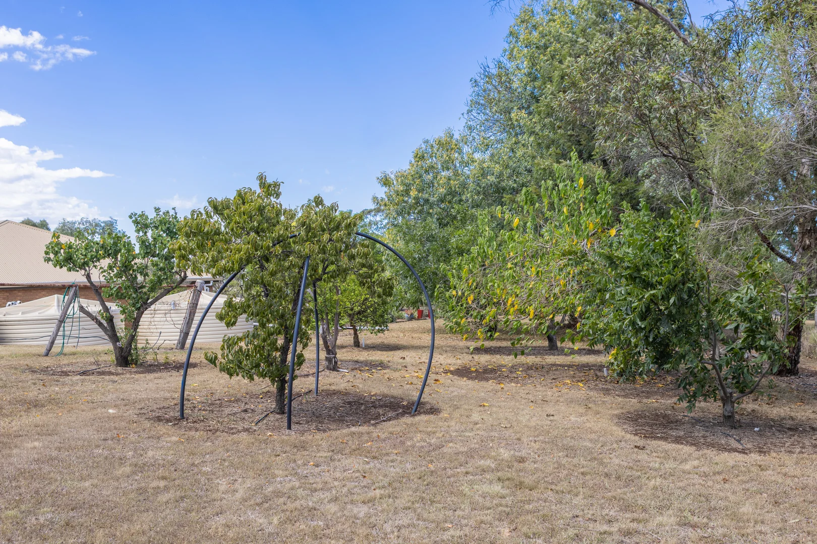 Additional image 24 of 'Windermere' 5518 Golden Highway, Merriwa NSW 2329