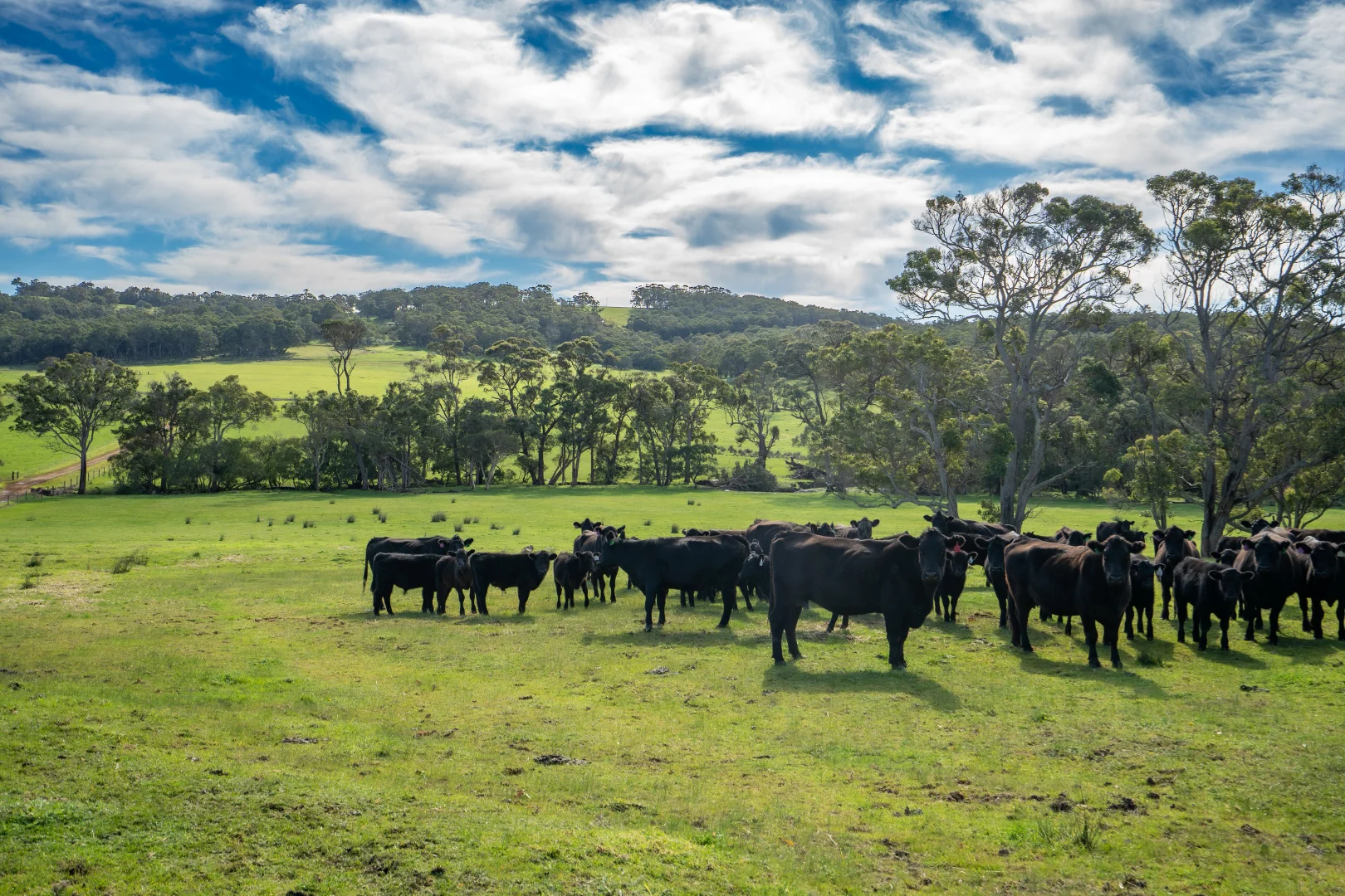 Additional image 3 of 461 Nanarup Road, Kalgan WA 6330