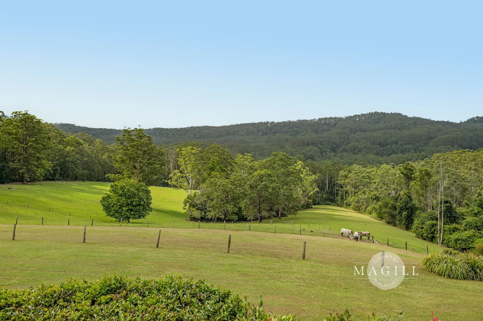 Additional image 30 of 395 Waitui Road, Waitui NSW 2443