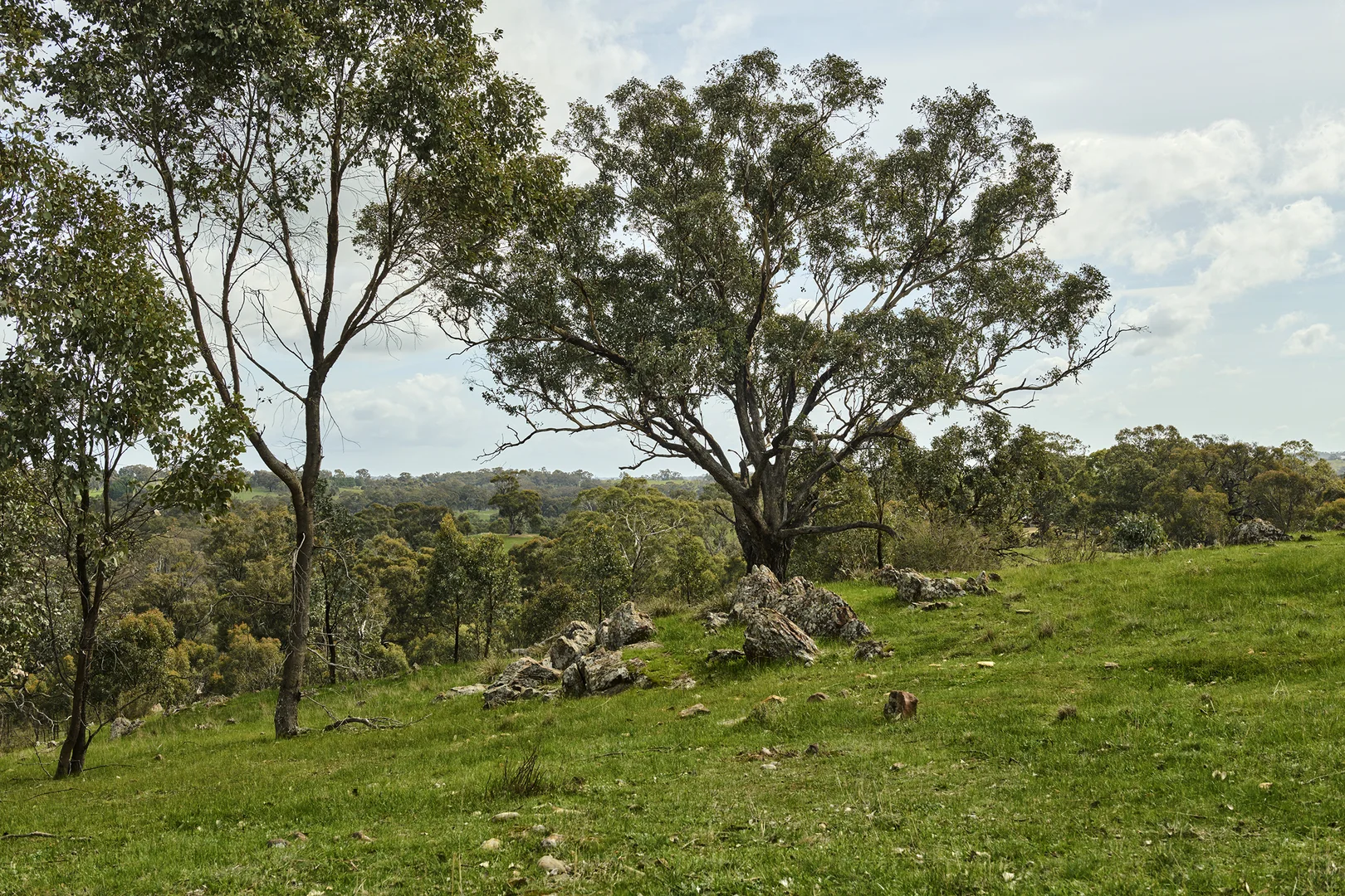 Additional image 3 of 545 Spring Flat Road, Heathcote VIC 3523