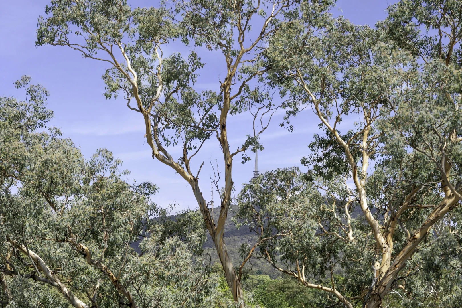 Additional image 17 of 5/2 David Street, Turner ACT 2612