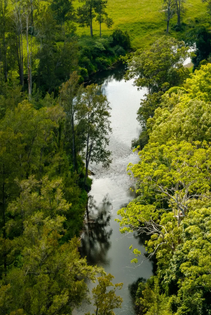 Additional image 32 of 2791 Waterfall Way, Thora NSW 2454