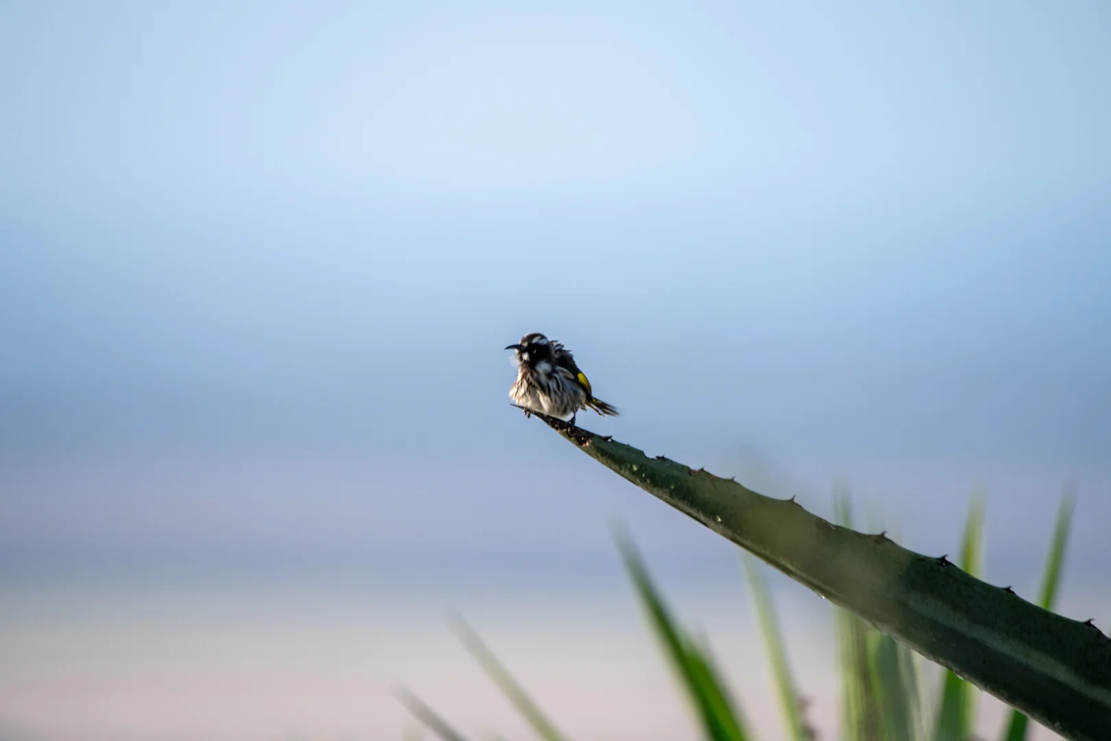 Additional image 68 of 412D Bratten Way, Tumby Bay SA 5605