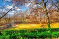 Additional image 38 of 2244 Bronx Park E Apt 1C, Bronx, NY, 10467