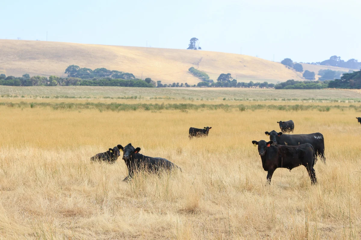 Additional image 3 of 6 Orchards Road, Narrawong VIC 3285