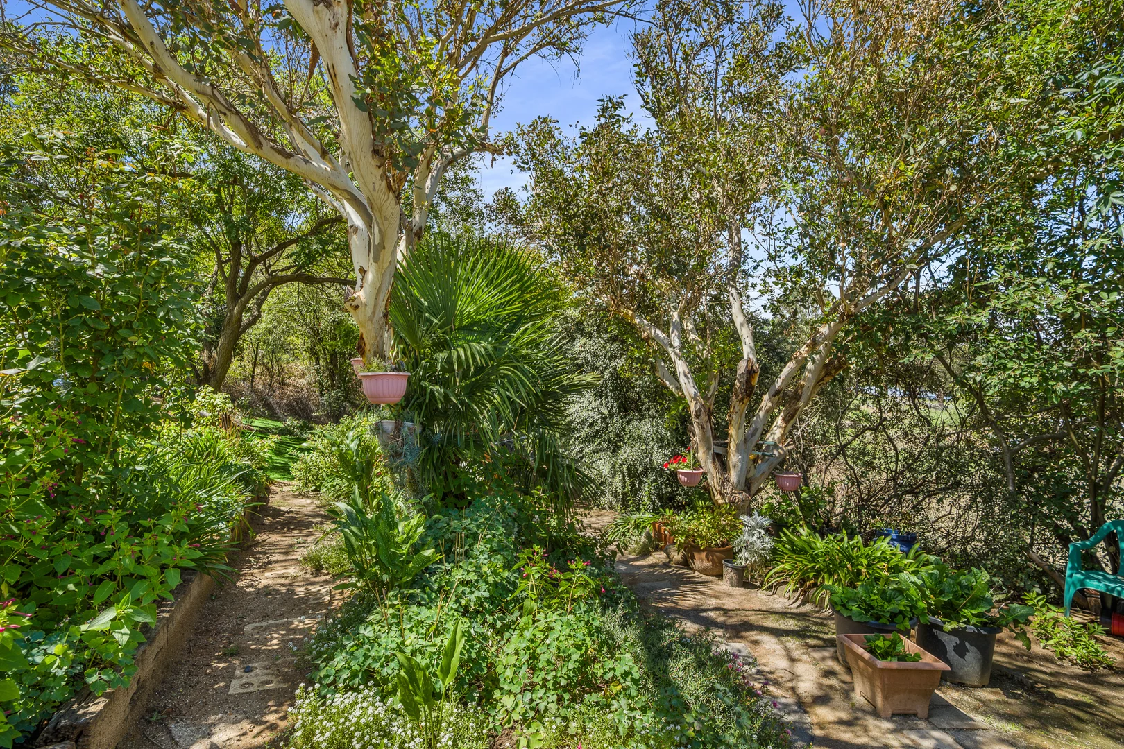 Additional image 17 of 3 Belubula Street North, Carcoar NSW 2791