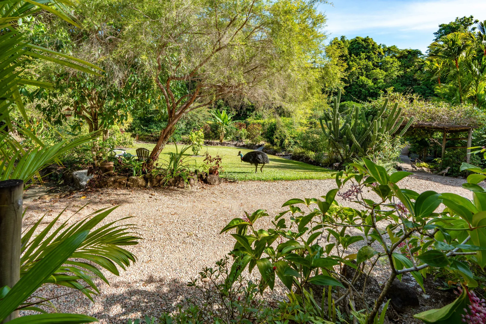 Additional image 37 of 11 Mission Cir, Wongaling Beach QLD 4852