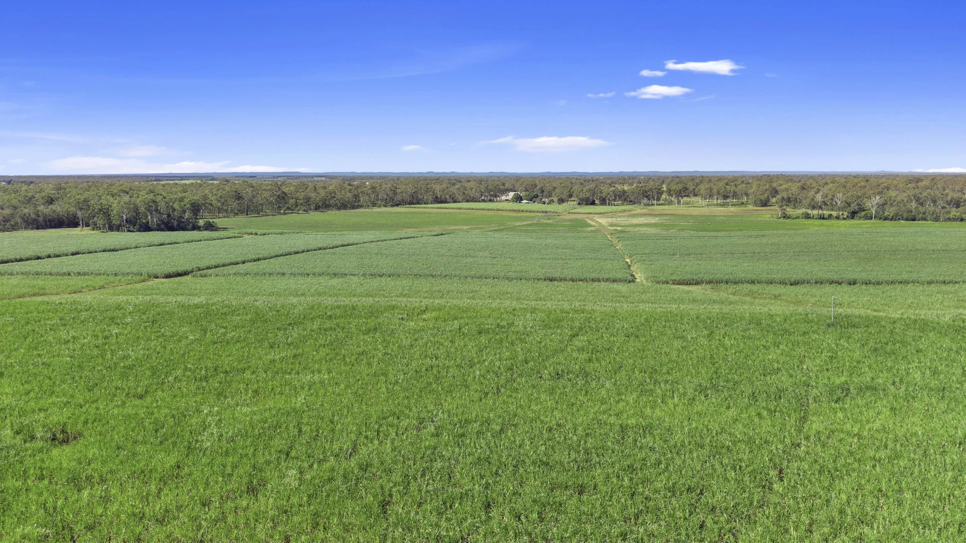 Additional image 10 of 91, Peake Farm, Walkers Point Road, Granville QLD 4650