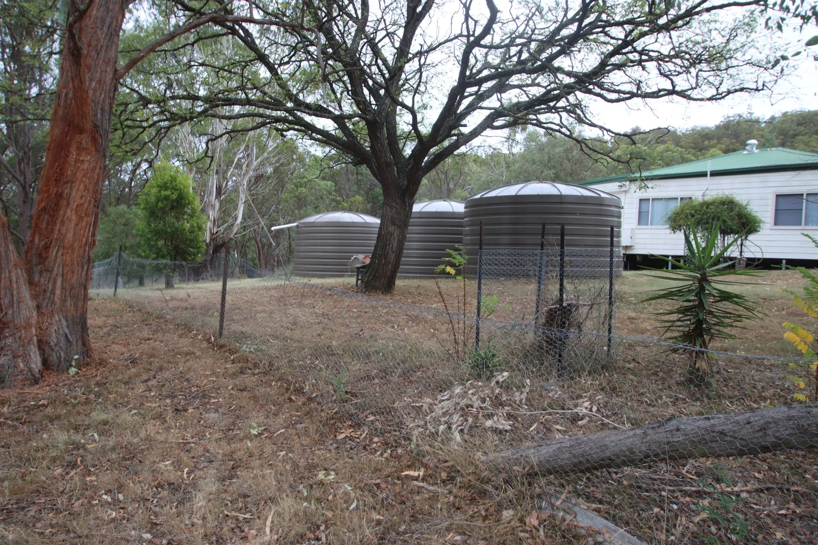 Additional image 31 of 22 Bluff River Road, Tenterfield NSW 2372