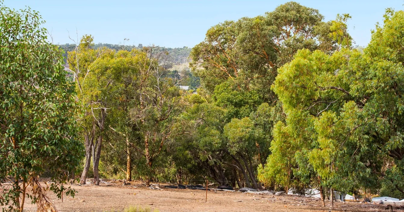 18 Kooyong Close, Bullsbrook WA 6084