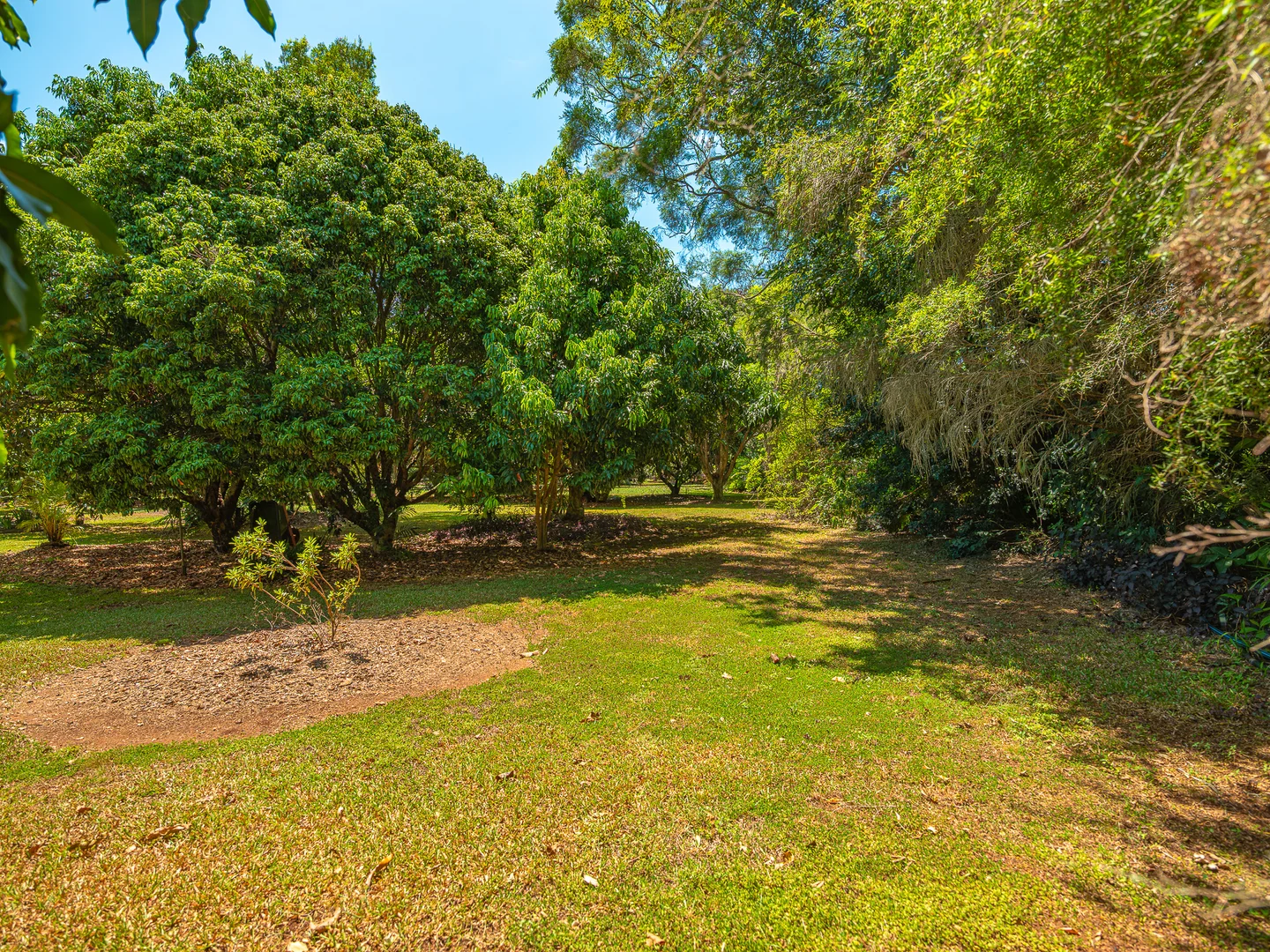 Additional image 45 of 2354 Anderleigh Road, Neerdie QLD 4570