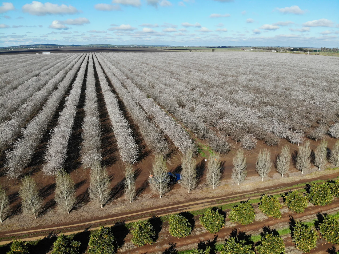 Additional image 7 of Hillston NSW 2675