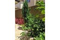 Additional image 22 of 62 Acorn Gln, Irvine, CA, 92620