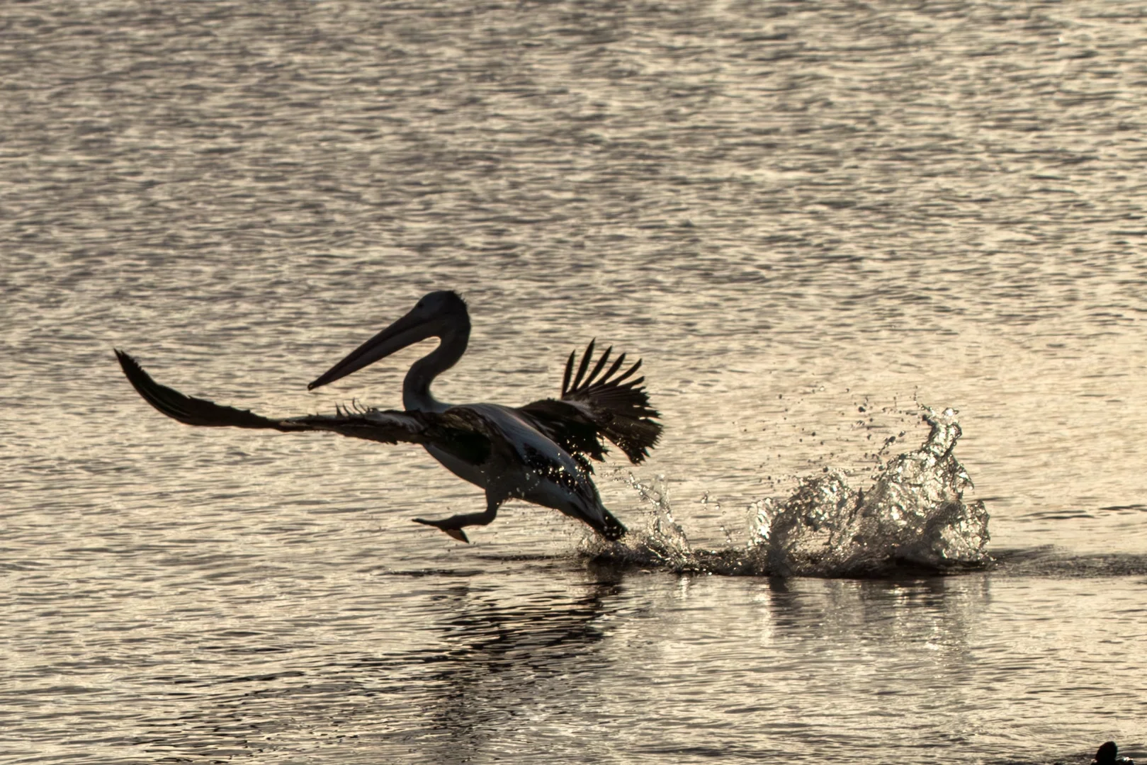 Additional image 62 of 412D Bratten Way, Tumby Bay SA 5605