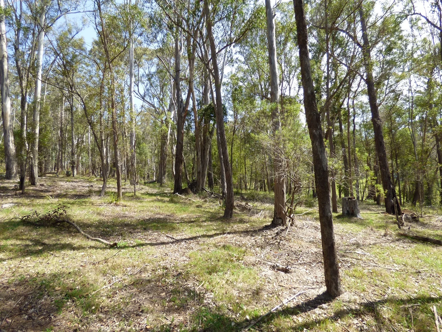 Additional image 8 of Lot D5 102 Old Mill Rd, Wolumla NSW 2550
