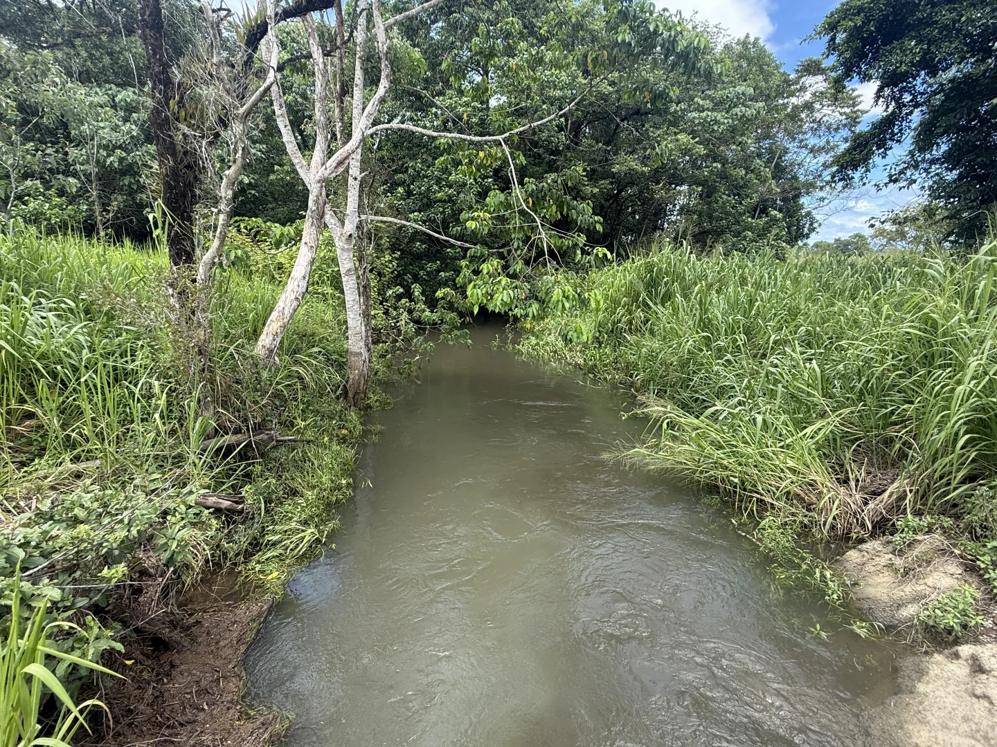 Additional image 4 of Jarra Creek QLD 4854