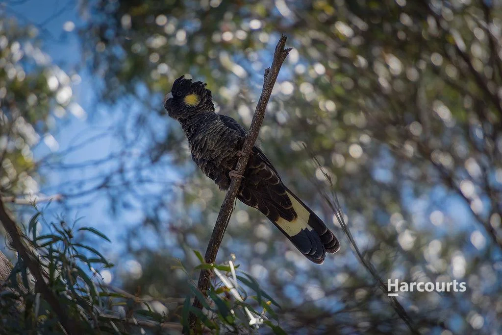 Additional image 28 of 191 Sisters Beach Road, Boat Harbour TAS 7321