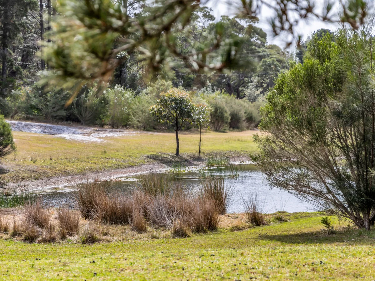Additional image 41 of 3599 Tathra-Bermagui Road, Bermagui NSW 2546