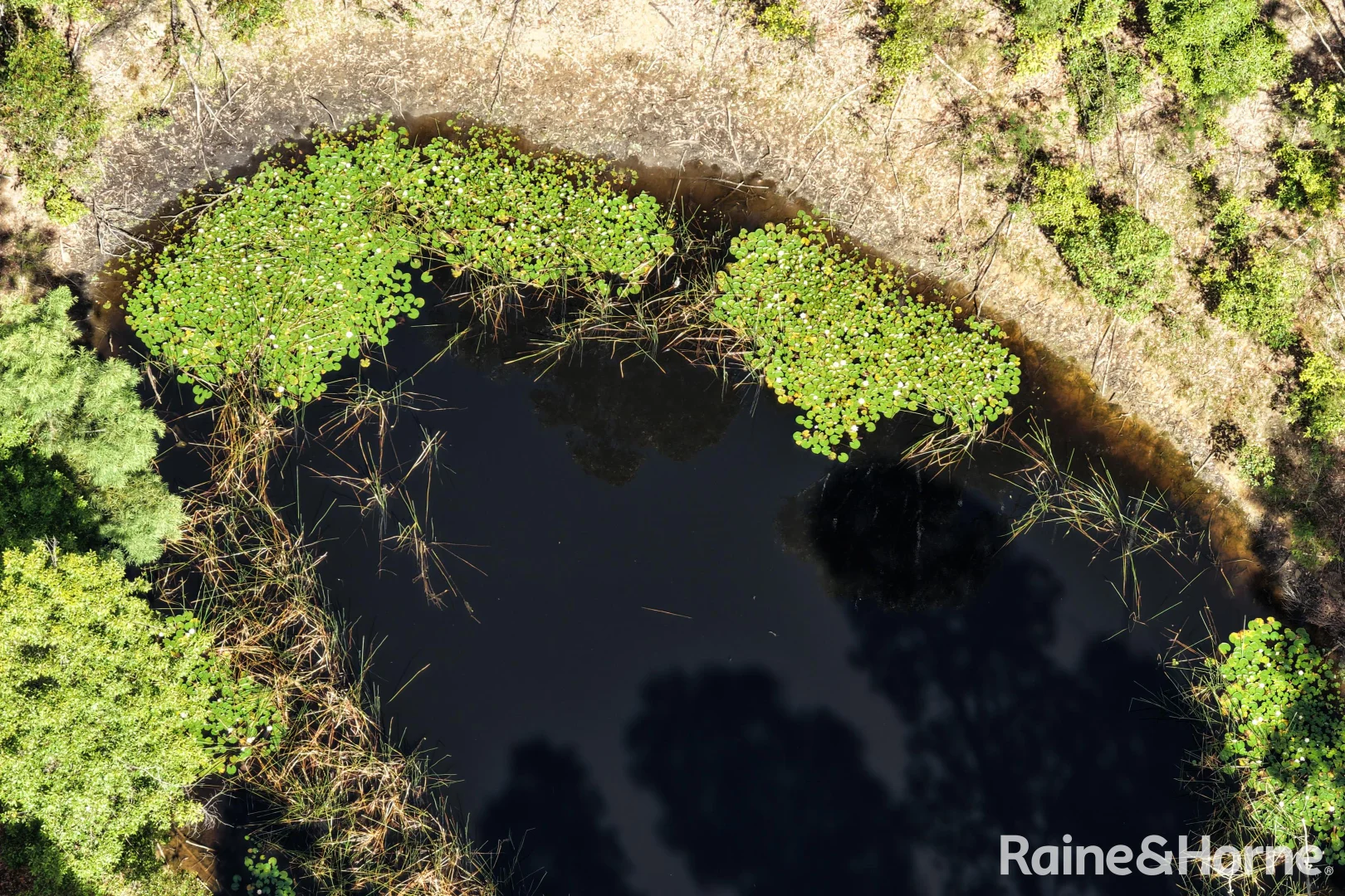 Additional image 20 of 225 Woodburn Road, Morton NSW 2538