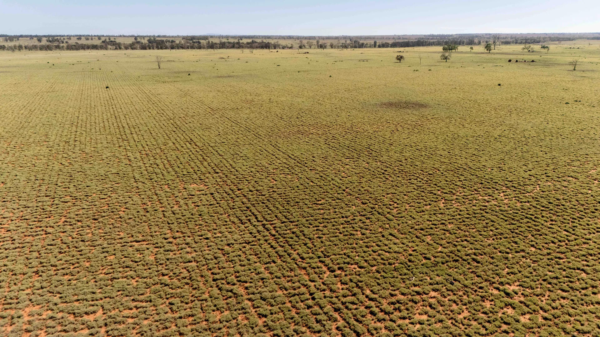 Additional image 17 of Tingun QLD 4455