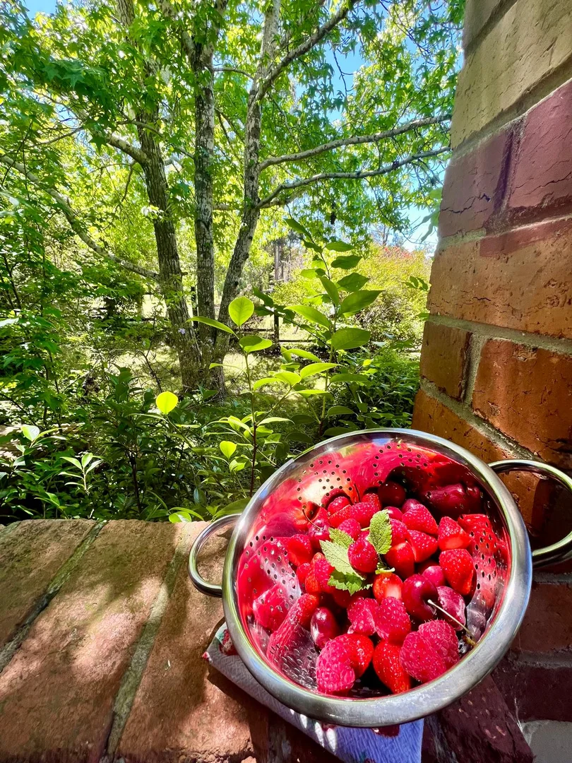 Additional image 10 of 38 Perrins Street, Daylesford VIC 3460