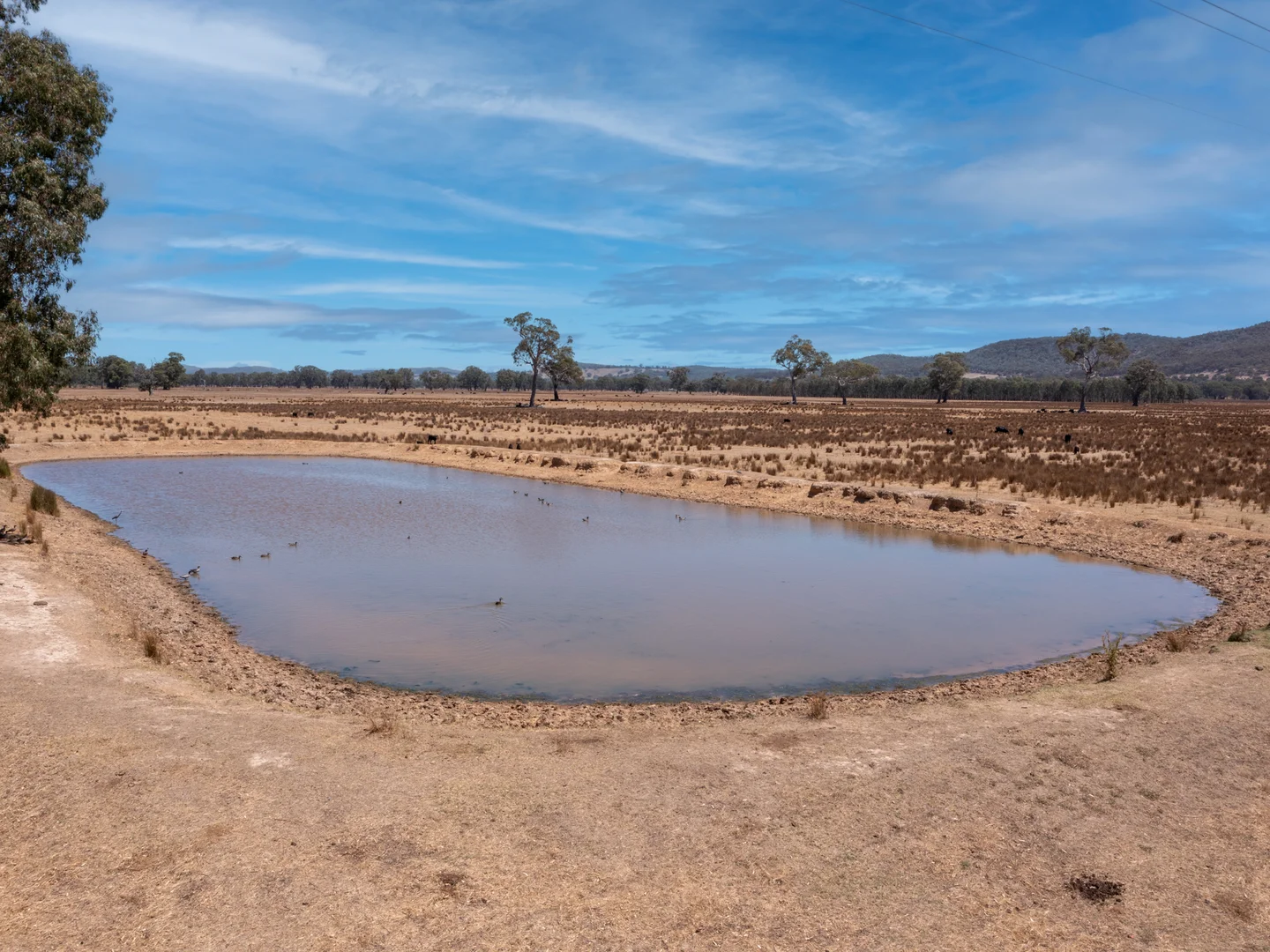 Additional image 3 of 337 Laceby-Glenrowan Road, Laceby VIC 3678