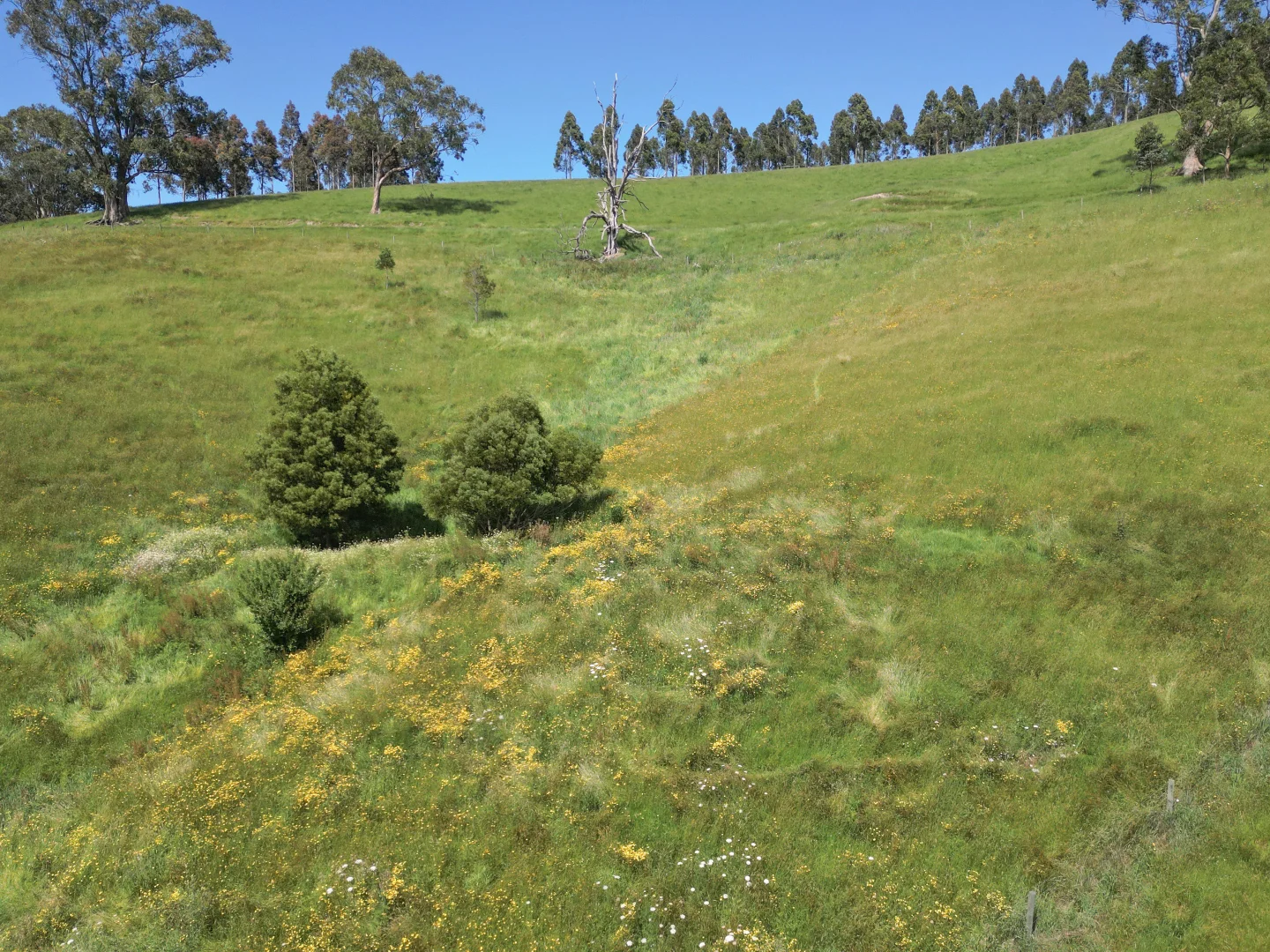Additional image 6 of 1/2045 Lardners Track, Torwood VIC 3821