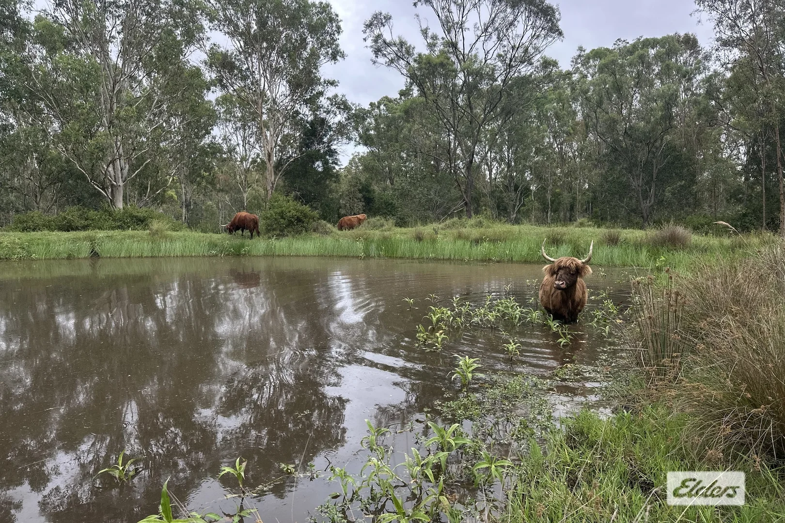 Additional image 12 of 108 Brennan Road, Calvert QLD 4340