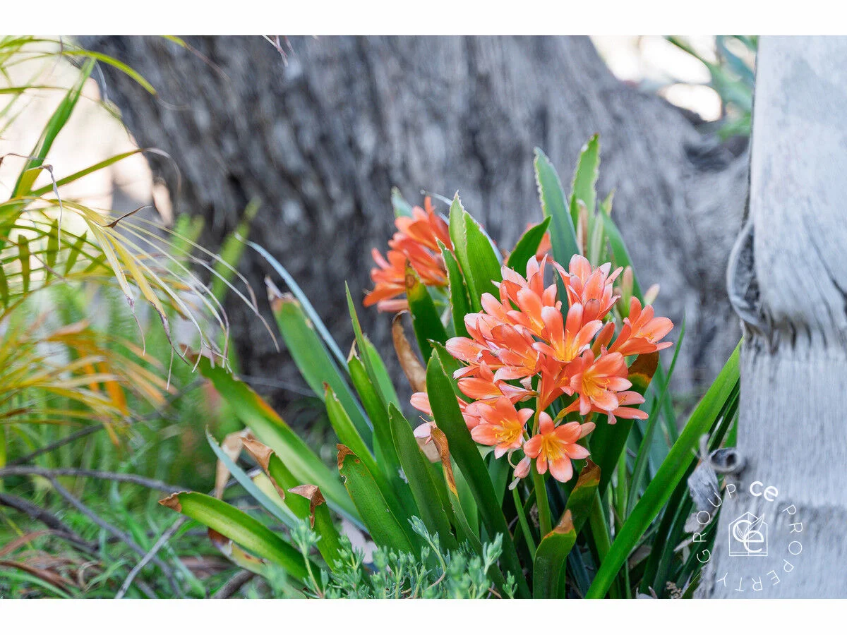 Additional image 39 of 76/1 South Punyelroo Road, Punyelroo SA 5353