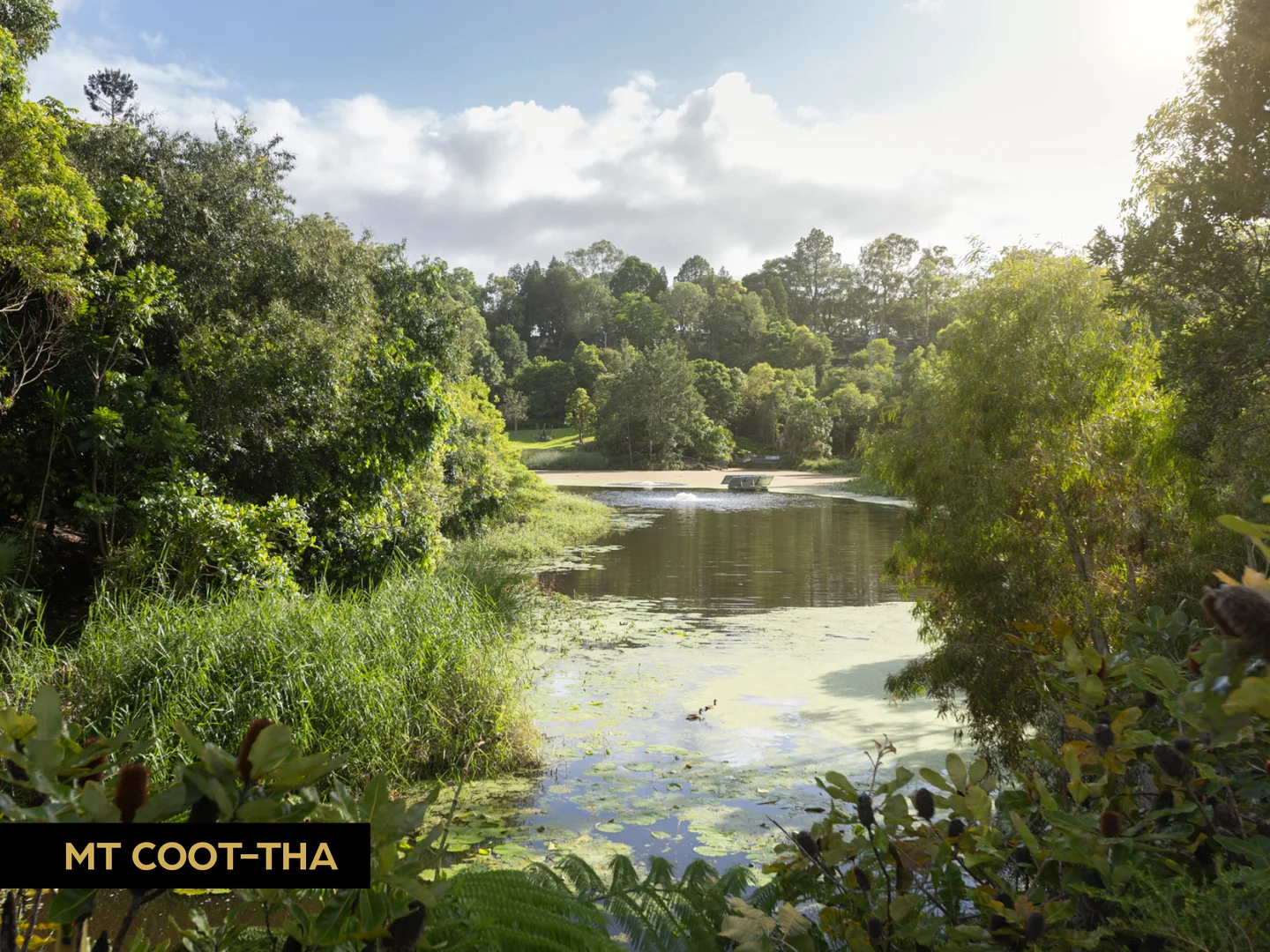 Additional image 13 of 103 Elizabeth Street, Toowong QLD 4066