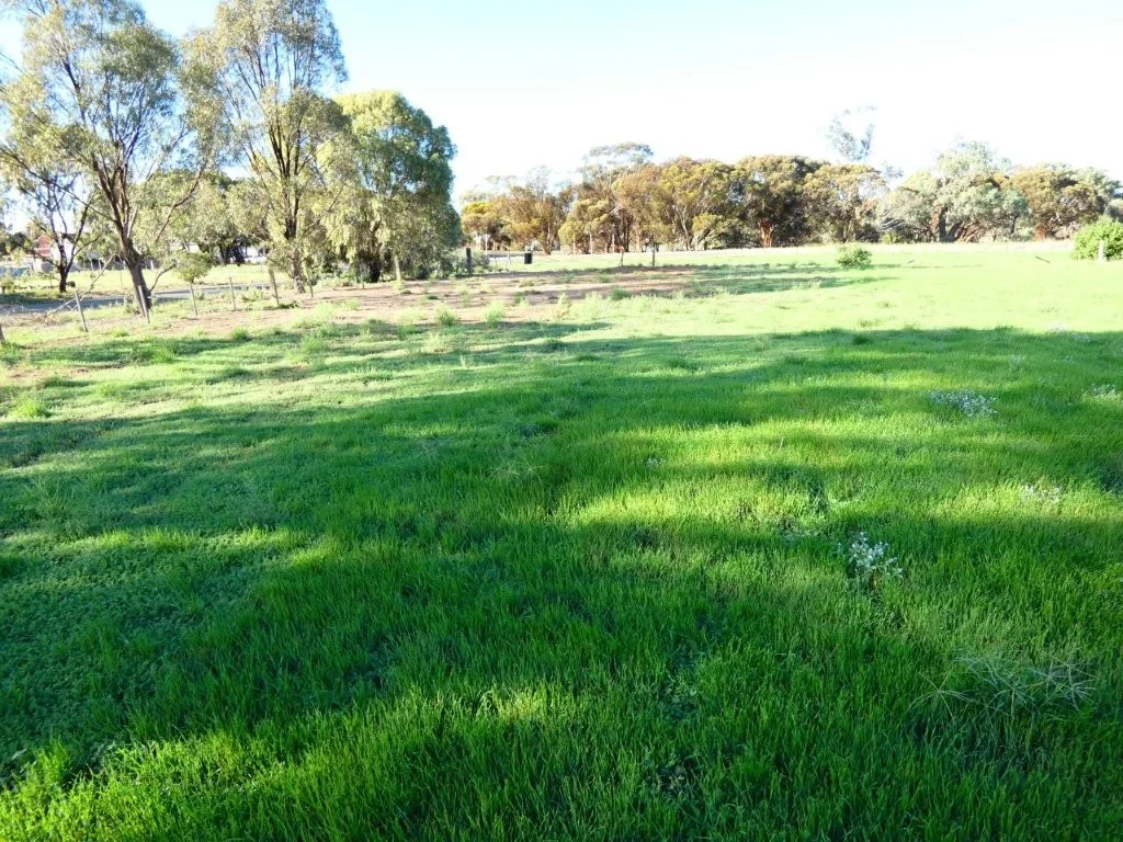 Additional image 5 of 45 Bell Street, Beulah VIC 3395